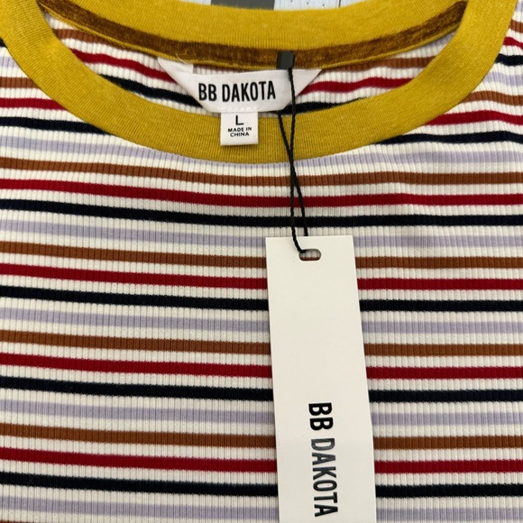BB Dakota Ribbed Multicolored Striped Tee T Shirt Large - Picture 5 of 8